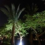 David Strasser - @davidstrasser25 - Instagram