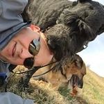 David Strassman - @david.strassman.182 - Instagram