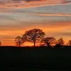 David Stratford - @david.stratford6 - TikTok