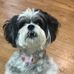 Dave Strathern - Facebook