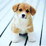 David Stream - @stream_david.1256 - Instagram