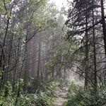 David Strecker - @dstreak70 - Instagram