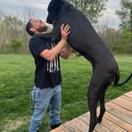 David Strupe - Facebook