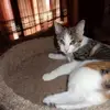 davidstreeter798 - @davidstreeter798 - TikTok