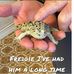 Dave Stretch - Facebook