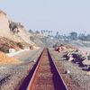 DavidStribling3922 - @davidstribling3922 - TikTok