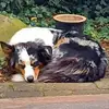 David Stricker - @david.stricker8 - TikTok