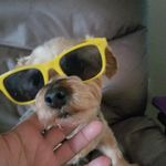David Stricker Sr. - @strickersr - Instagram