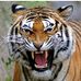 David Strickler - Facebook