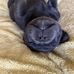 David Stringer - Facebook