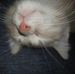 David Strohm - Facebook