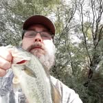 David Strub - @strubdavid - Instagram