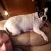 David Strahm - Facebook