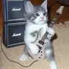 davidstrums - @davidstrums - TikTok