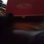 David Stubblefield - @david.stubblefield.3114 - Instagram