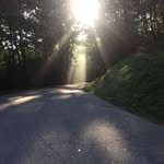 David Stubblefield - @dvdstubb - Instagram