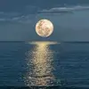 Dave Sturrock - @dave.sturrock - TikTok