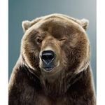 David Sturrock - @bearsturrock - Instagram