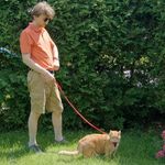 David Stuttard - @d.stuttard - Instagram