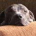David Sulak - Facebook