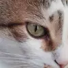 David Sulakvelidze - @david.sulakvelidz - TikTok