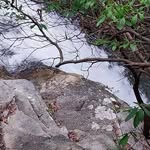 David Summey - @davidsummey - Instagram