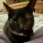 David Sumner - @davidsumner741 - Instagram