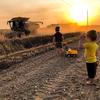 David Sundblad - @sunfarms12 - TikTok