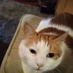 David Sundell - @davidsundell01 - Instagram