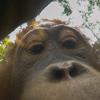 David - @david.supple - TikTok