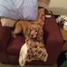 Dave Swaffield - Facebook