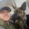 davidstansfield - @davidstansfield - TikTok
