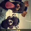 David Swager - @davidswager2 - TikTok