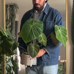 David Swinton - @swintonodyssey - Instagram