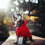David taberner - @david_taberner - Instagram