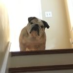 David Taglieri - @dave_r_tag - Instagram
