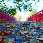 David A. Lee - @david_takes_photos - Instagram