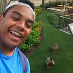 David Ray - @david_takes_duckies - Instagram