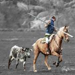 David Tallon Sanchez - @tallon1840 - Instagram