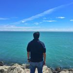 David Tann - @davidtann - Instagram