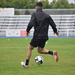 David Tartour - @david_tartour - Instagram