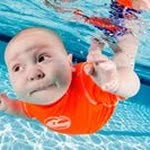 David Tashiro - @davidtashiro - Instagram