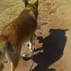 davidtavares1328 - @davidtavares1328 - TikTok