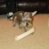David Teal - @david.teal4 - TikTok