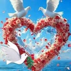David Tee - Facebook