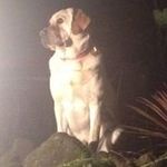 David Tefft - @dave_tefft - Instagram