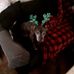 David Tenney - Facebook