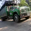 David Tenorio - @david.tenorio10 - TikTok