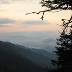 David Terpstra - @djterpstra06 - Instagram