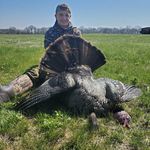 David Terpstra - @david_terpstra_ - Instagram